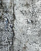 Fragment of colored graffiti painted on a wall. photo