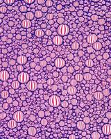 Top view on colorful drops of oil on the water. Circles and ovals. photo