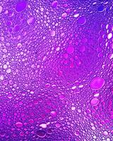 Top view on colorful drops of oil on the water. Circles and ovals. photo