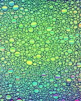 Top view on colorful drops of oil on the water. Circles and ovals. photo