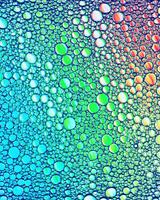 Top view on colorful drops of oil on the water. Circles and ovals. photo