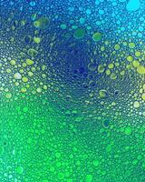 Top view on colorful drops of oil on the water. Circles and ovals. photo