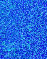 Top view on colorful drops of oil on the water. Circles and ovals. photo