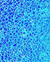Top view on colorful drops of oil on the water. Circles and ovals. photo