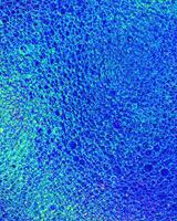 Top view on colorful drops of oil on the water. Circles and ovals. photo