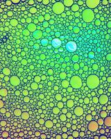 Top view on colorful drops of oil on the water. Circles and ovals. photo