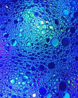 Top view on colorful drops of oil on the water. Circles and ovals. photo