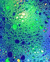 Top view on colorful drops of oil on the water. Circles and ovals. photo