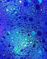 Top view on colorful drops of oil on the water. Circles and ovals. photo