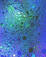 Top view on colorful drops of oil on the water. Circles and ovals. photo