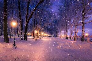Winter night park with lanterns, pavement and trees covered with snow in snowfall. photo