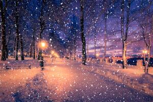 Blured photo of a winter night park with lanterns, pavement and trees covered with snow in snowfall.
