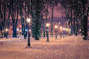 Winter night park with lanterns, pavement and trees covered with snow in snowfall. photo