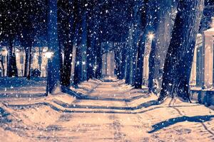 Winter night park with lanterns, pavement and trees covered with snow in snowfall. photo