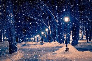 Winter night park with lanterns, pavement and trees covered with snow in snowfall. photo