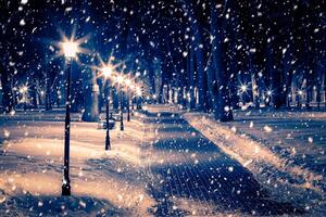 Winter night park with lanterns, pavement and trees covered with snow in snowfall. photo