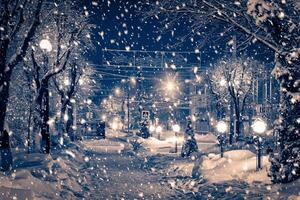 Winter night park with lanterns, pavement and trees covered with snow in snowfall. photo