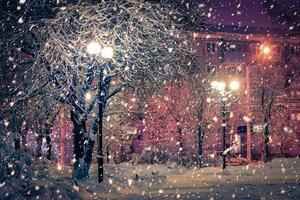 Winter night park with lanterns, pavement and trees covered with snow in snowfall. photo