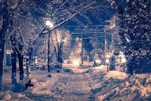Winter night park with lanterns, pavement and trees covered with snow in snowfall. photo