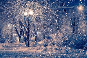 Winter night park with lanterns, pavement and trees covered with snow in snowfall. photo