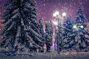 Winter night park with lanterns, pavement and trees covered with snow in snowfall. photo