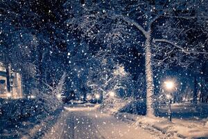 Winter night park with lanterns, pavement and trees covered with snow in snowfall. photo