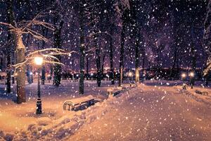 Winter night park with lanterns, pavement and trees covered with snow in snowfall. photo