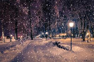 Winter night park with lanterns, pavement and trees covered with snow in snowfall. photo