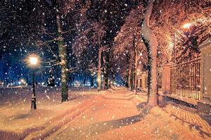 Winter night park with lanterns, pavement and trees covered with snow in snowfall. photo