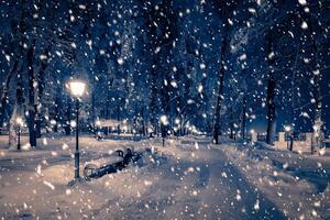 Winter night park with lanterns, pavement and trees covered with snow in snowfall. photo
