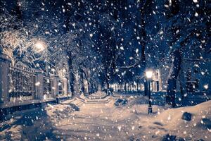 Winter night park with lanterns, pavement and trees covered with snow in snowfall. photo