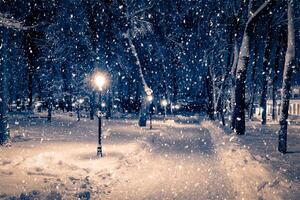 Winter night park with lanterns, pavement and trees covered with snow in snowfall. photo
