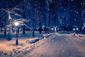 Winter night park with lanterns, pavement and trees covered with snow in snowfall. photo