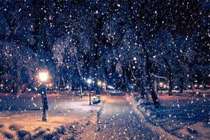 Winter night park with lanterns, pavement and trees covered with snow in snowfall. photo