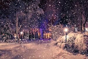 Winter night park with lanterns, pavement and trees covered with snow in snowfall. photo
