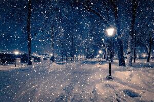 Winter night park with lanterns, pavement and trees covered with snow in snowfall. photo