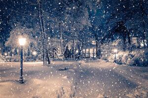 Winter night park with lanterns, pavement and trees covered with snow in snowfall. photo