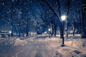 Winter night park with lanterns, pavement and trees covered with snow in snowfall. photo