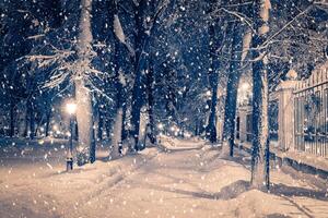 Winter night park with lanterns, pavement and trees covered with snow in snowfall. photo