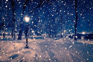 Winter night park with lanterns, pavement and trees covered with snow in snowfall. photo