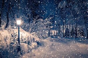 Winter night park with lanterns, pavement and trees covered with snow in snowfall. photo