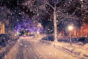 Winter night park with lanterns, pavement and trees covered with snow in snowfall. photo