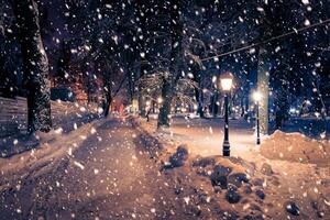 Winter night park with lanterns, pavement and trees covered with snow in snowfall. photo