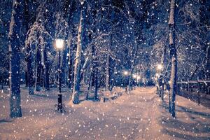 Winter night park with lanterns, pavement and trees covered with snow in snowfall. photo