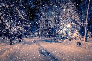 Winter night park with lanterns, pavement and trees covered with snow in snowfall. photo