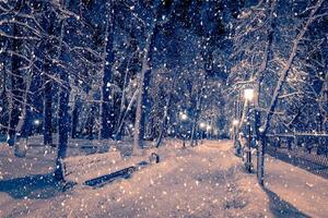 Winter night park with lanterns, pavement and trees covered with snow in snowfall. photo