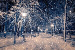 Winter night park with lanterns, pavement and trees covered with snow in snowfall. photo