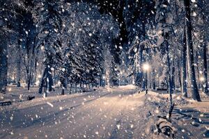 Winter night park with lanterns, pavement and trees covered with snow in snowfall. photo