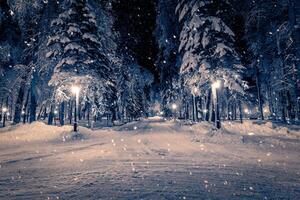 Winter night park with lanterns, pavement and trees covered with snow in snowfall. photo