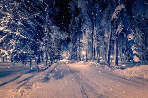 Winter night park with lanterns, pavement and trees covered with snow in snowfall. photo